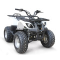 QUAD ГОНОЧНЫЙ EPA ATV 125CC